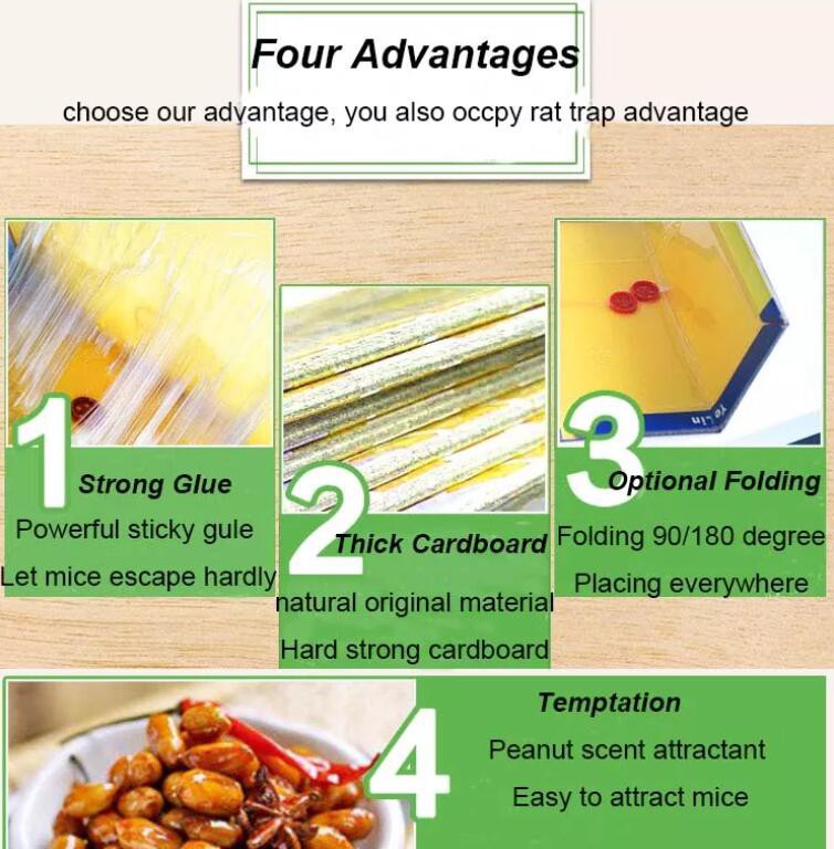 mouse glue trap advantages