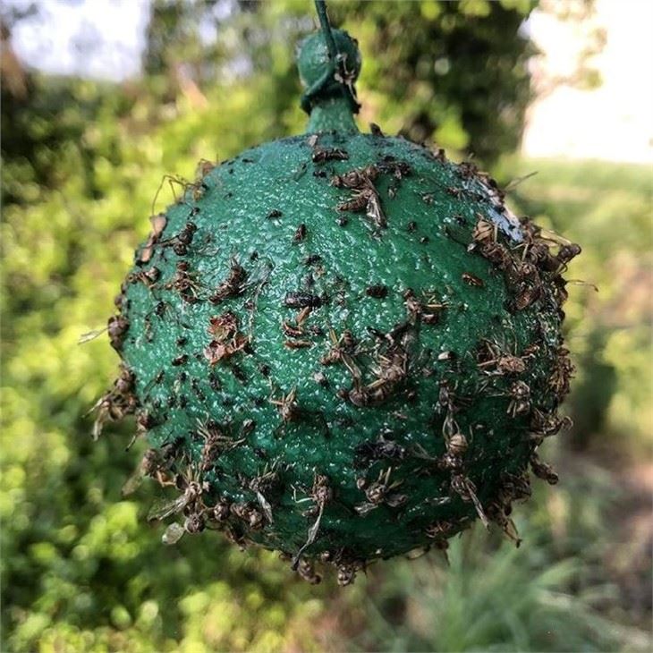 flying Insect Glue Ball Trap