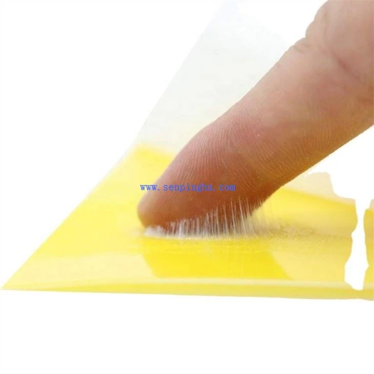 insect traps
