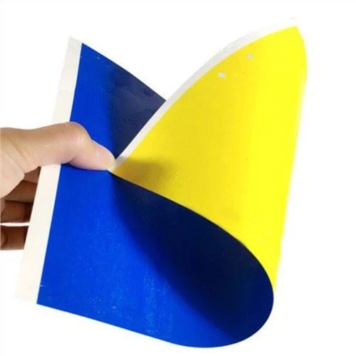 Melorm Catch Board